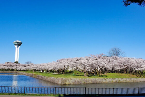2024-04-08_goryokaku